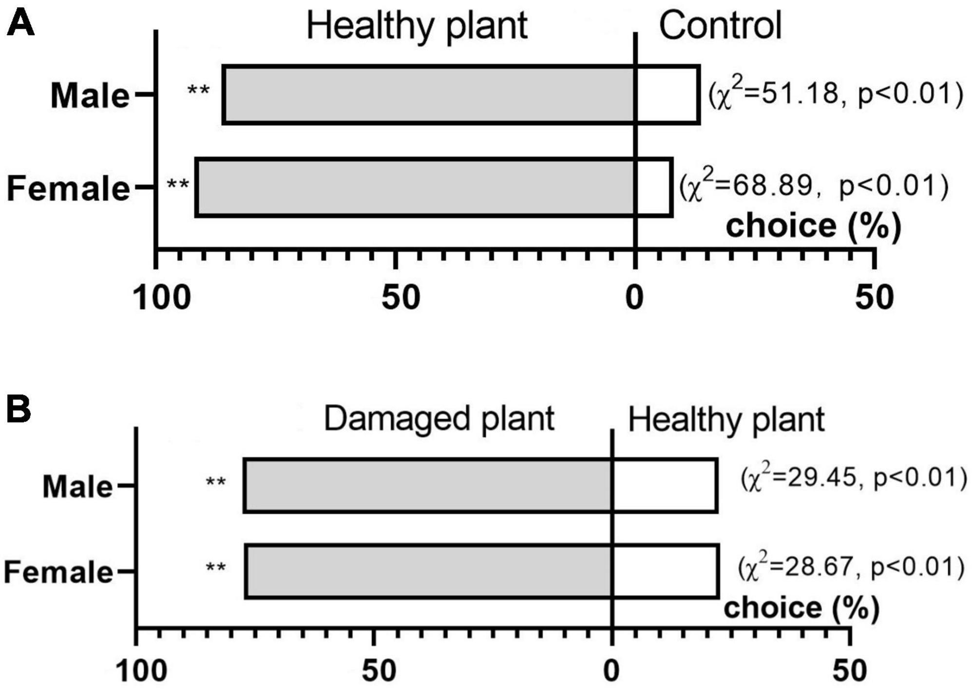 Components and composition of active volatiles attract on Diorhabda tarsalis (Coleoptera: Chrysomelidae) from Glycyrrhiza uralensis (Rosales: Leguminoseae)